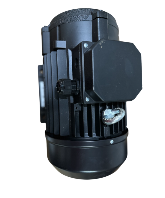 Motor Italiano 5.5 HP eje hueco, especial para hidrolavadora