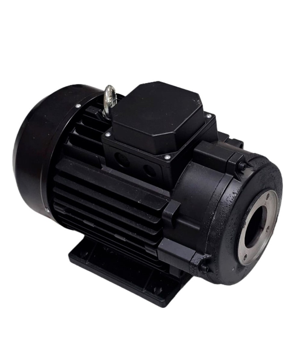 Motor Italiano 7.5 HP eje hueco, especial para hidrolavadora