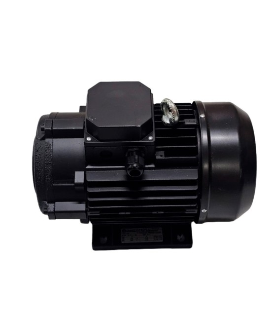 Motor Italiano 7.5 HP eje hueco, especial para hidrolavadora
