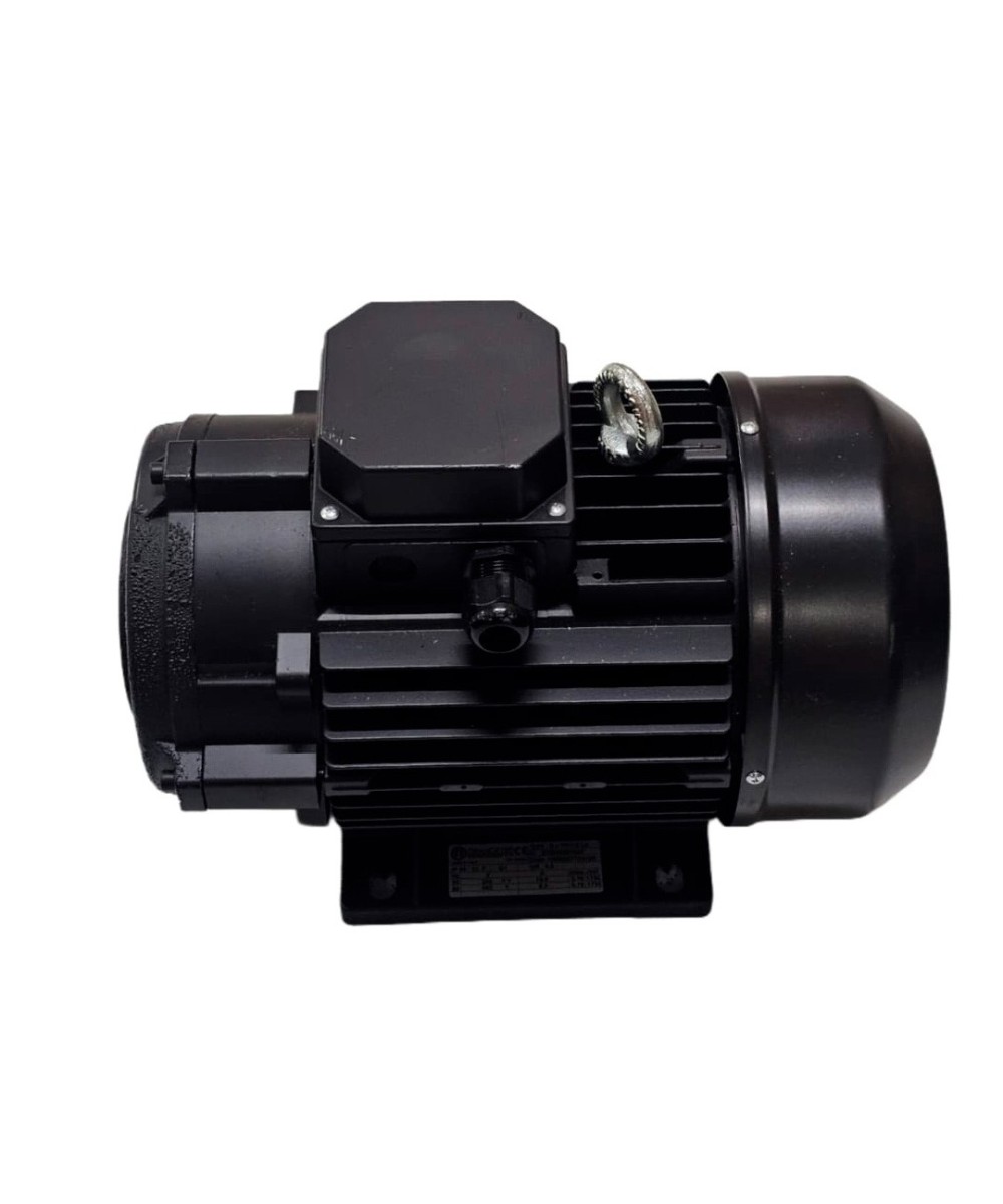 Motor Italiano 7.5 HP eje hueco, especial para hidrolavadora