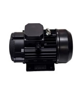 Motor Italiano 7.5 HP eje hueco, especial para hidrolavadora