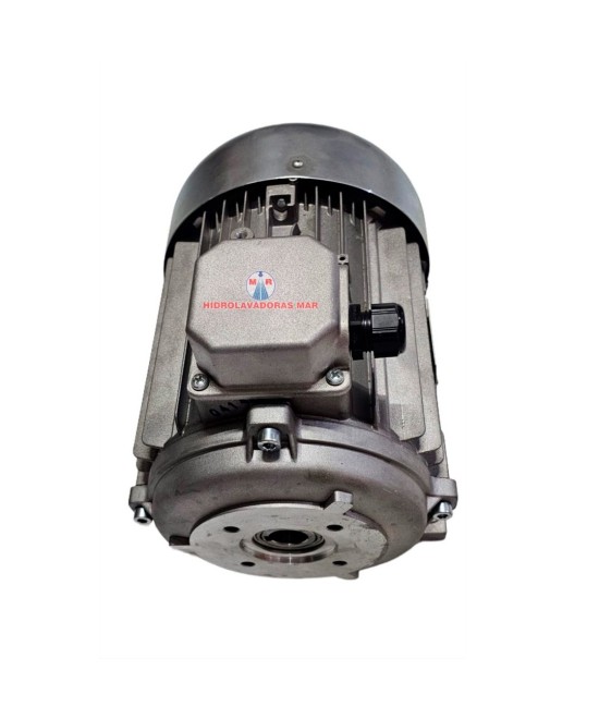 Motor Italiano 5.5 HP eje hueco, especial para hidrolavadora