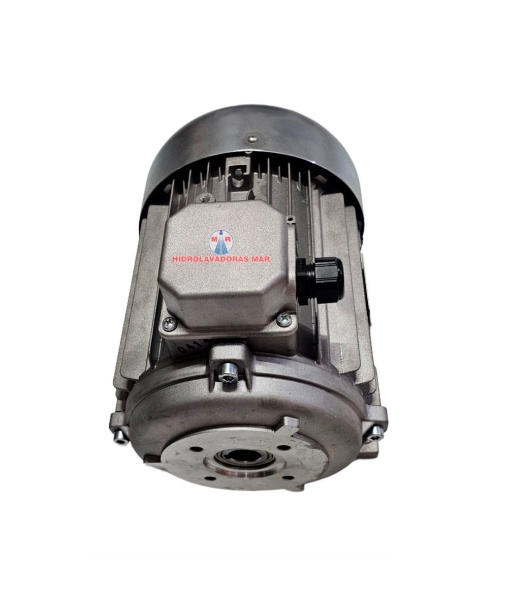 Motor Italiano 5.5 HP eje hueco, especial para hidrolavadora