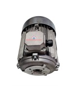 Motor Italiano 5.5 HP eje hueco, especial para hidrolavadora