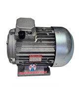 Motor Italiano 5.5 HP eje hueco, especial para hidrolavadora